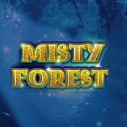 Misty Forest